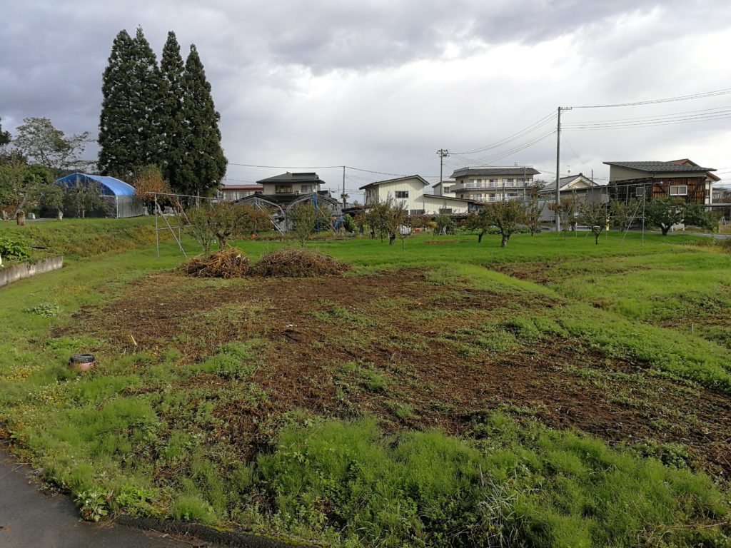 荒廃農地 後